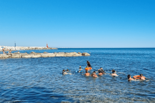 camp di biologia marina