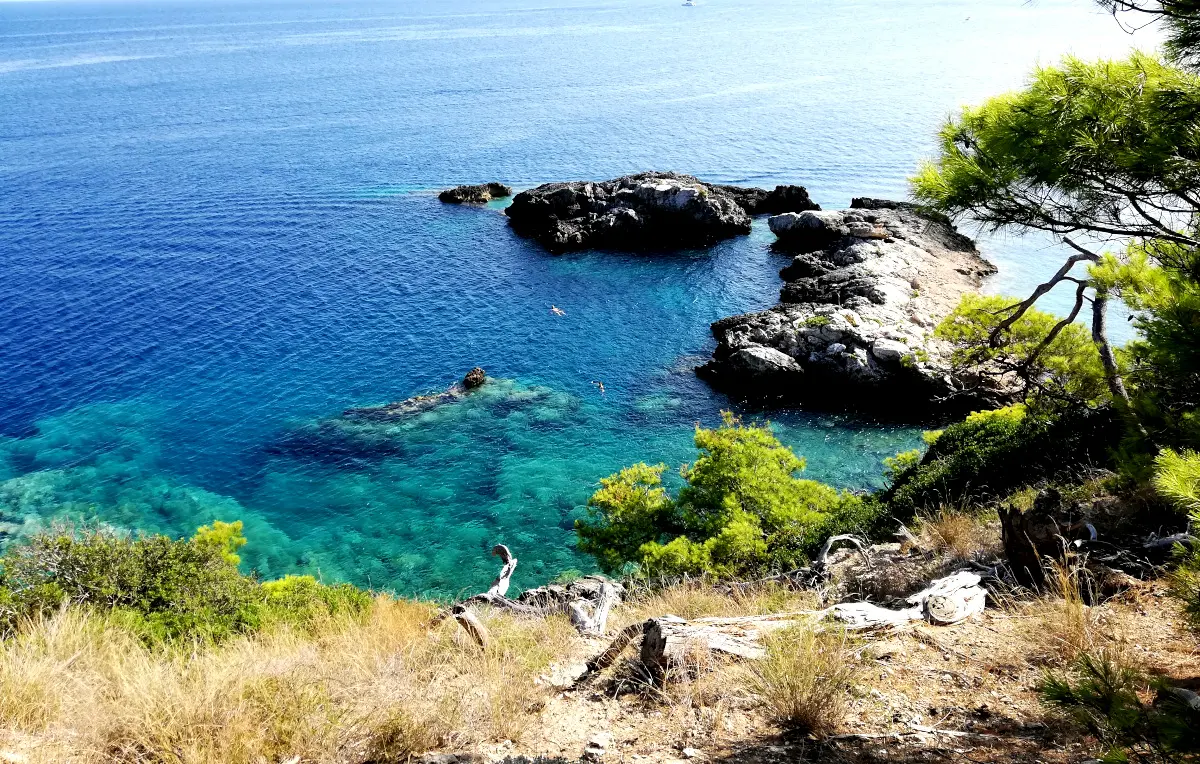 prova1