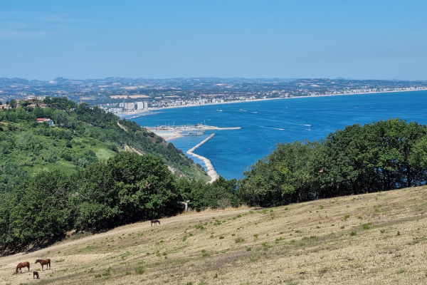 Romagna e Marche